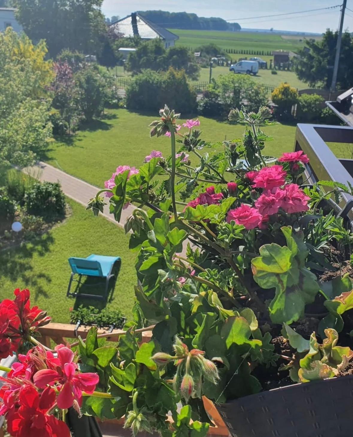 Apartamenty Na Baltyckiej Choczewo Luaran gambar